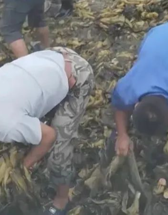 同人劲漫 同人劲漫情节发展跌宕起伏