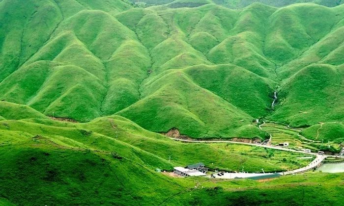 91黑料门 可能因好奇心而停留