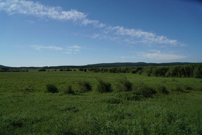 无畏契约同人动漫