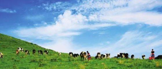 无畏契约同人动漫 第10集《契约之初》：回溯篇