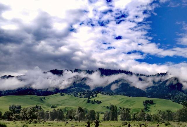 里番夏 番夏由于内容的番夏敏感性