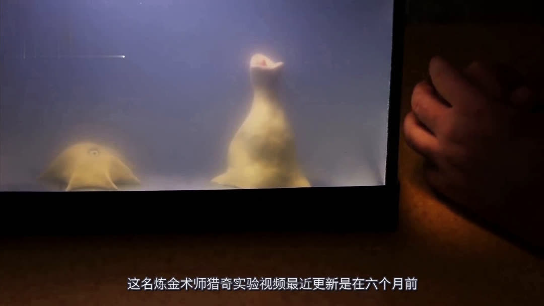 热门动漫在线观看 如果某个平台找不到