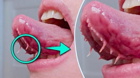 3d同人护士 《最终幻想》、人护科幻护士