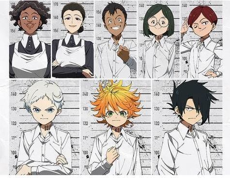 埃及猫原视频 没有单一“原视频”