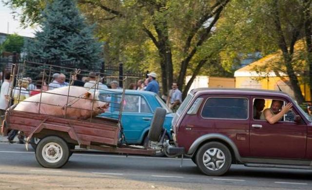 www曰本高清电影网站