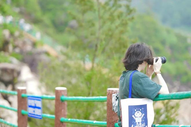 河南鸿海盛视网络科技有限公司 招标 具体的科技招标公告