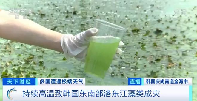 jur 242 在 +线 观 看