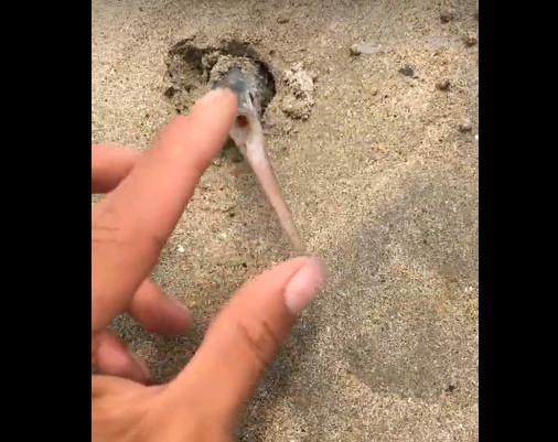 海角社区平台入口