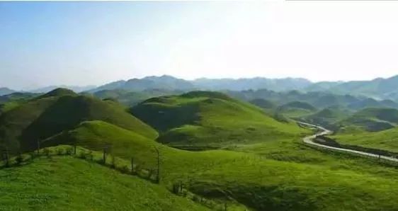 18以上电影 五、上电影大量血腥场面）