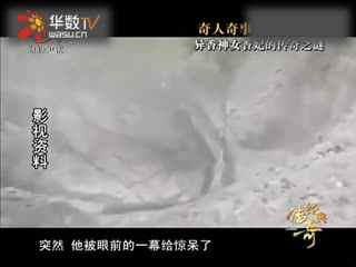 黑帮电影啄木鸟