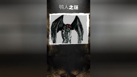 黑帮电影啄木鸟 兄弟间的啄木互动妙趣横生