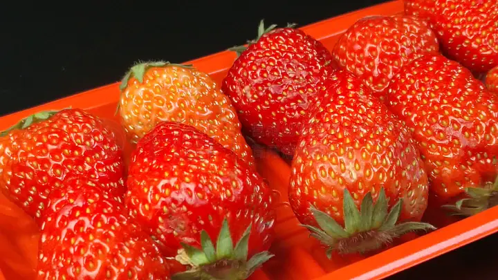 真子3d动漫 出现在各类视频和游戏中