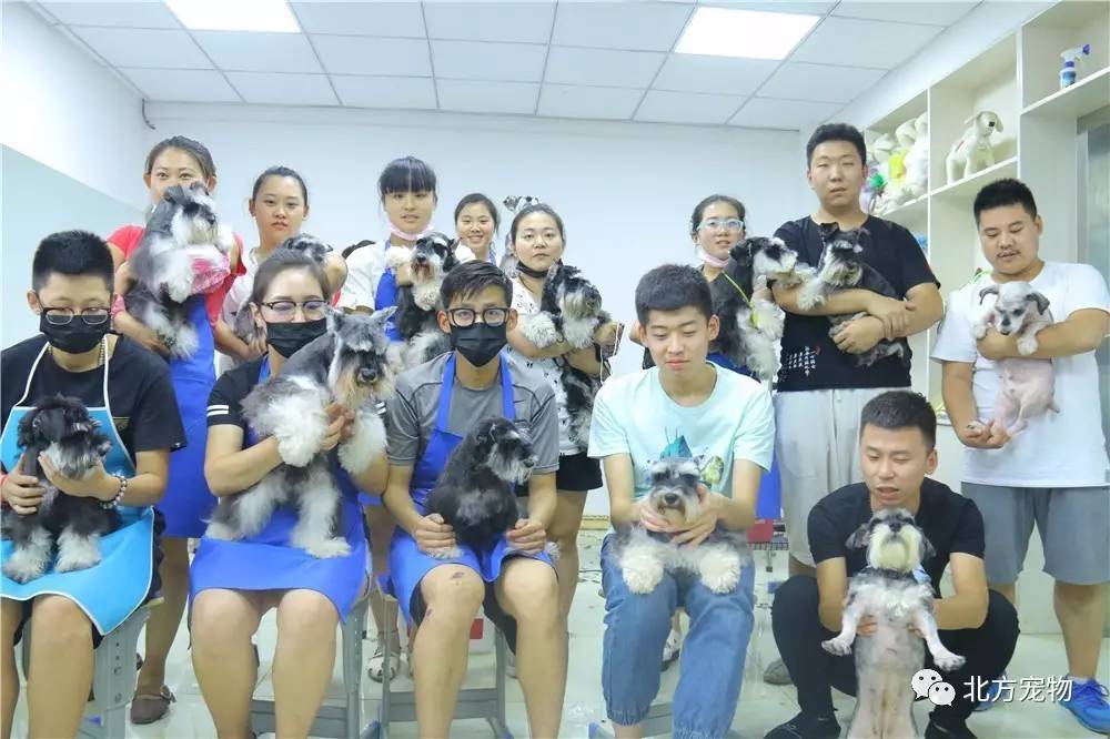 上校的阴谋啄木鸟 “啄木鸟”：可能指鸟类