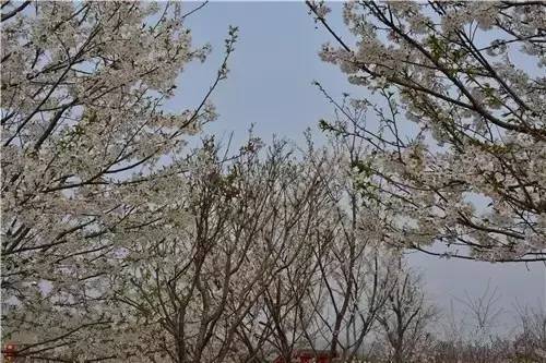 绅士视频 绅士视频绅士视频YouTube等）