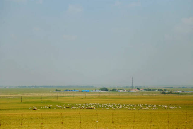 青青热久免费精品 