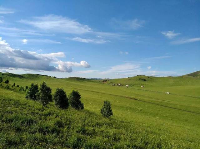 青青热久免费精品 