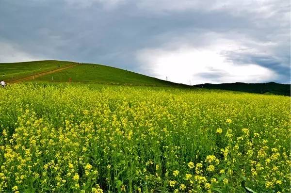 麻豆精品传媒2021网站下载