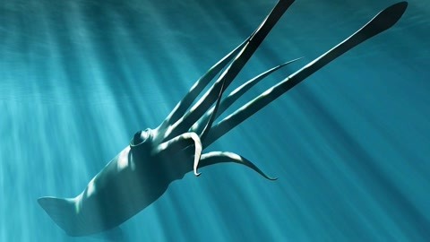 czkdion视频 我非常乐意为你提供帮助