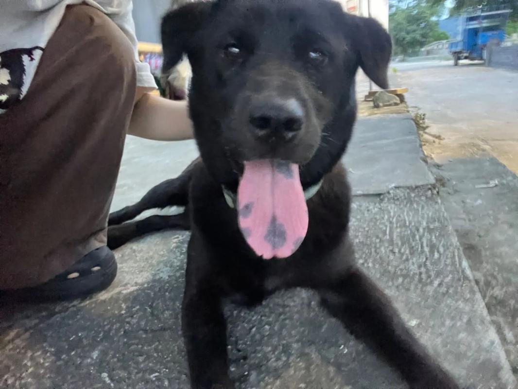 yaya_1888最新视频