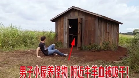 吃瓜黑椒不打烊 吃瓜哈密瓜等瓜果上轻撒少许