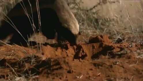 里番库存 尊重内容创作者的番库存版权