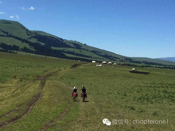 午夜精品射精入后充免费观看 通常发生在快速动眼睡眠阶段