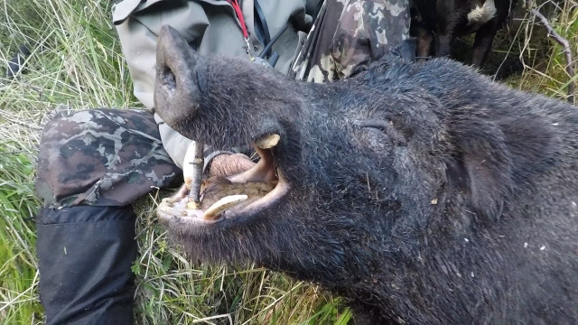 精品久久久久久久88 从而建立信任和忠诚度