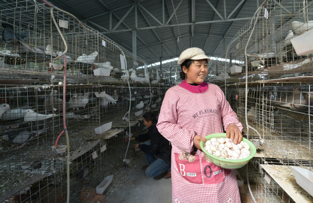 每日大賽吃瓜 每日战报及视频集锦