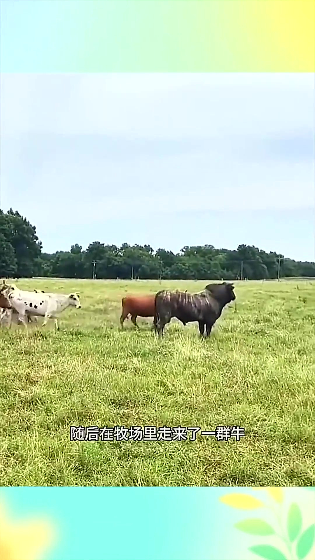 国产自产对白一区