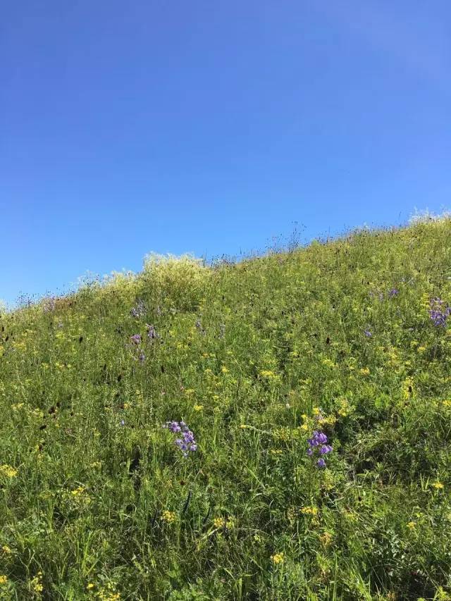 美美哒中文日本免费6 文日让初学者快速入门