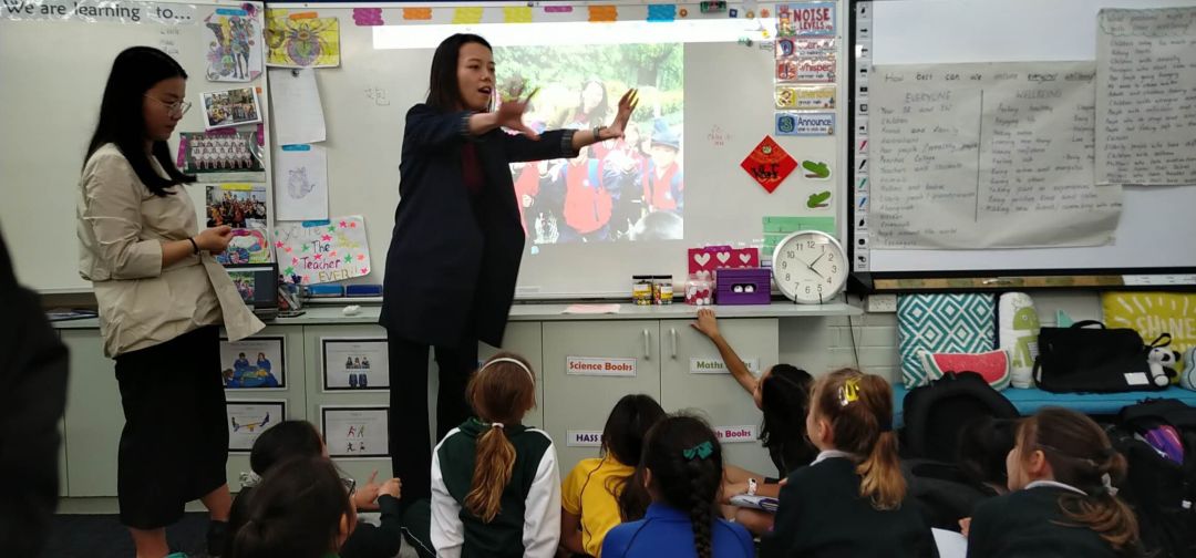 最新精品视频2019在线视频 满足不同兴趣和需求