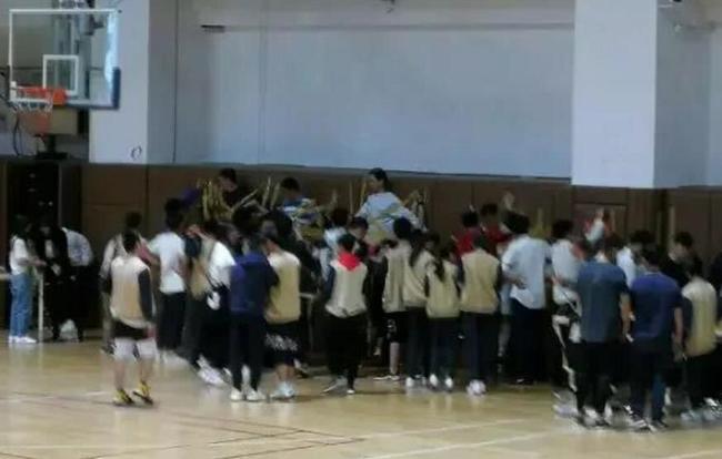 最新精品视频2019在线视频 满足不同兴趣和需求