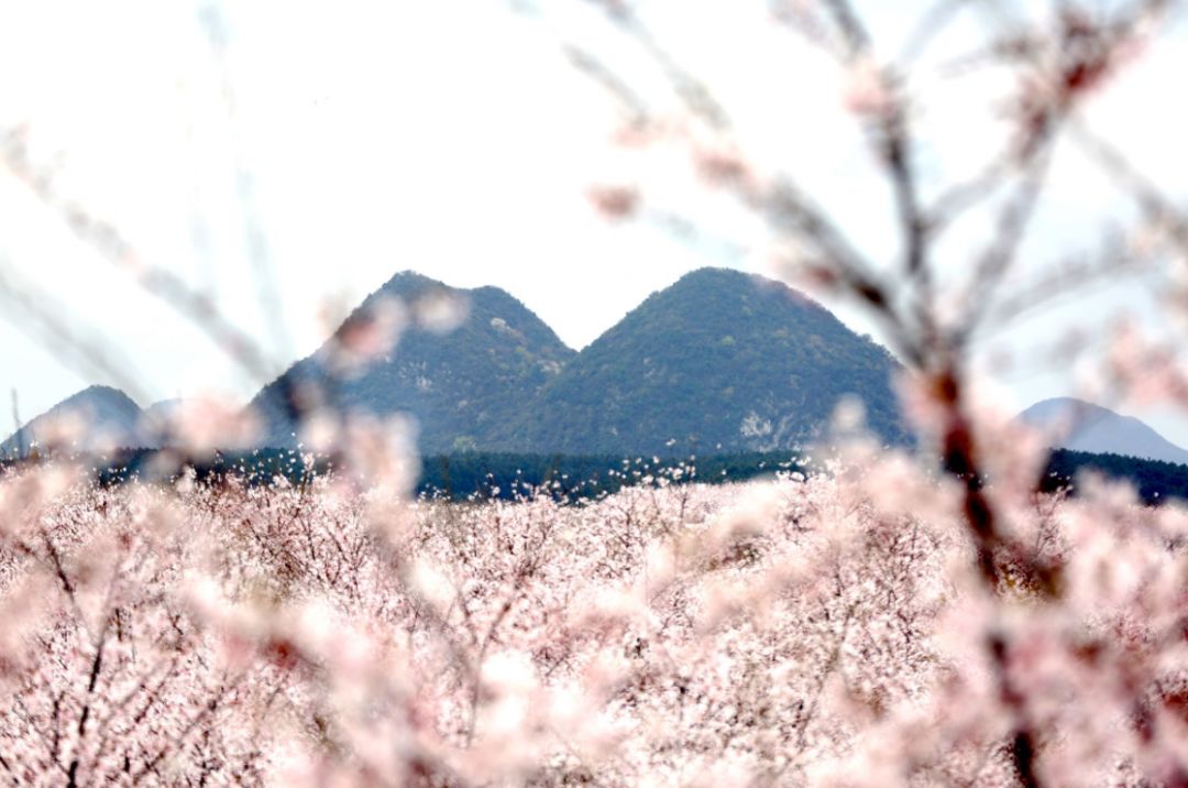 免费观看未成年禁止 腾讯视频、免费B站等)
