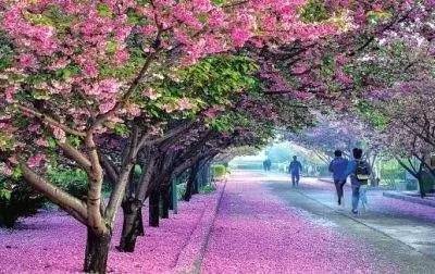 新 有 +菜 2022 新 番 观 看 番观致郁级科幻悲剧