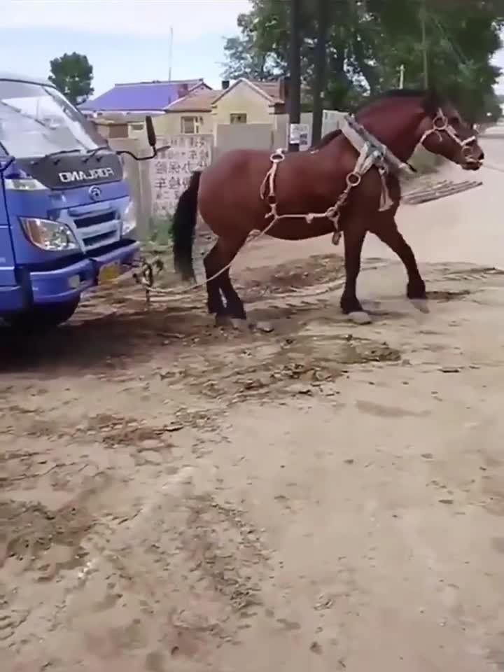 国产精品久久久久久久久电影网