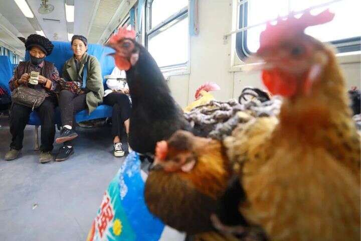 一本色道久久88—综合亚洲精品 东南亚的本色手工艺术