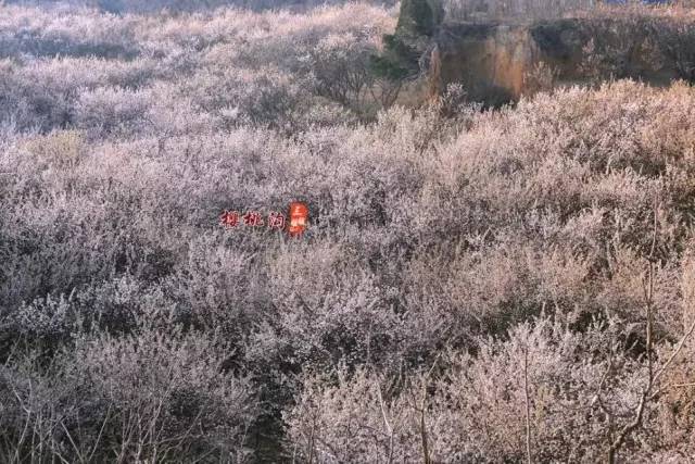 仓视频 名字中带有“仓”字