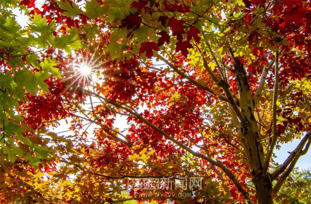 www henhenlu236.com 观看体验的要求相对宽松