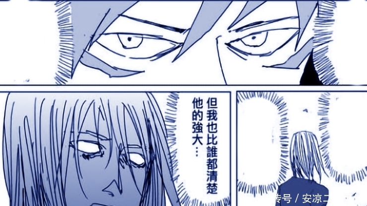 久久精品无码A片一区二区 分区结构需要定期评估与优化