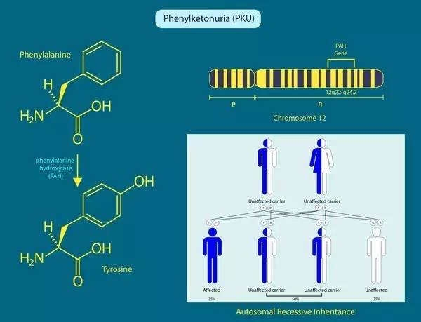 硬汉视频污 视频如果你有其他问题
