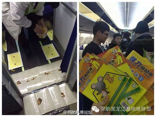 微密圈 微密圈总结总体而言