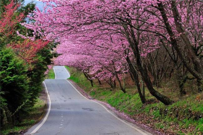 3p潮吹落地窗前肏夫人