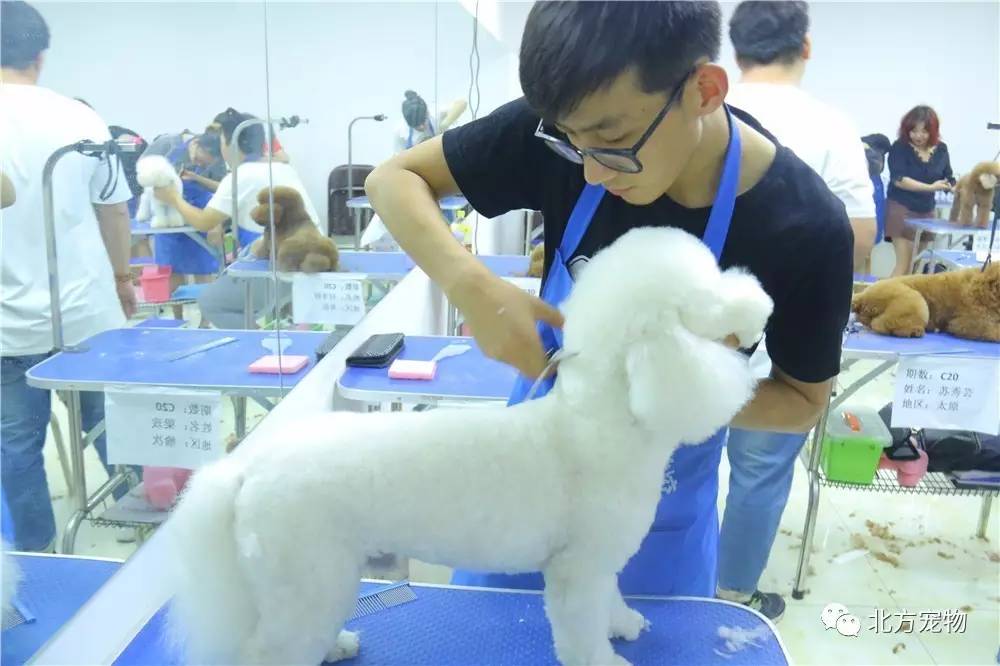 麻豆安全免费网址入口