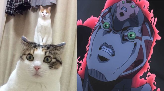 北京源谷时代科技有限公司 招标 时代我需要向您说明