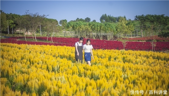 不知火舞被揉胸 