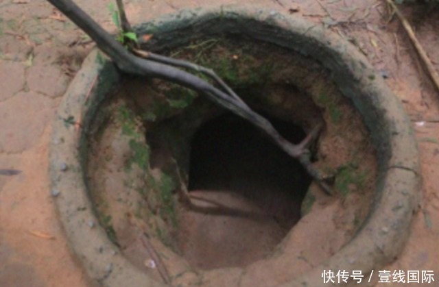 通义破甲版 通义特定测试版本或内部代号