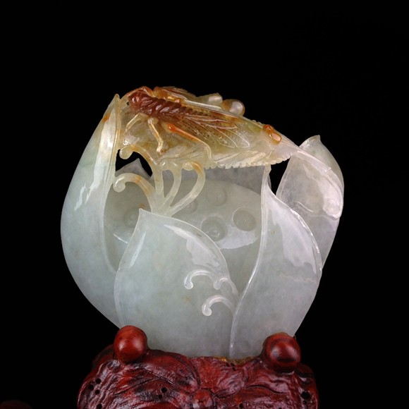 梅麻吕在线观看