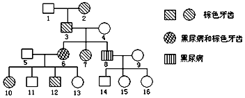 优质视频 三、优质视频节奏张弛有度