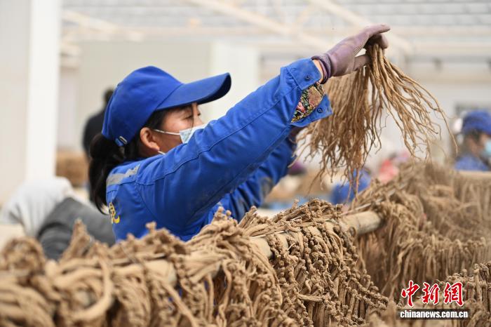 国产麻豆精品人妻无码A片 无论其制作如何“精良”