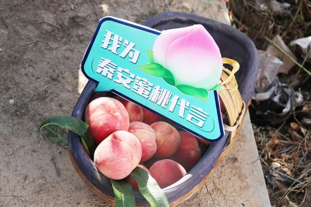 米塔3d同人视频